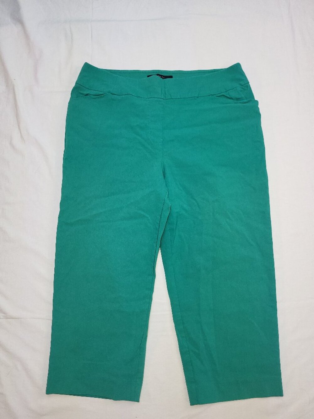 Penningtons Savvy Fit Teal Green Pants Size 16 Pull On Stretch Straight Capris